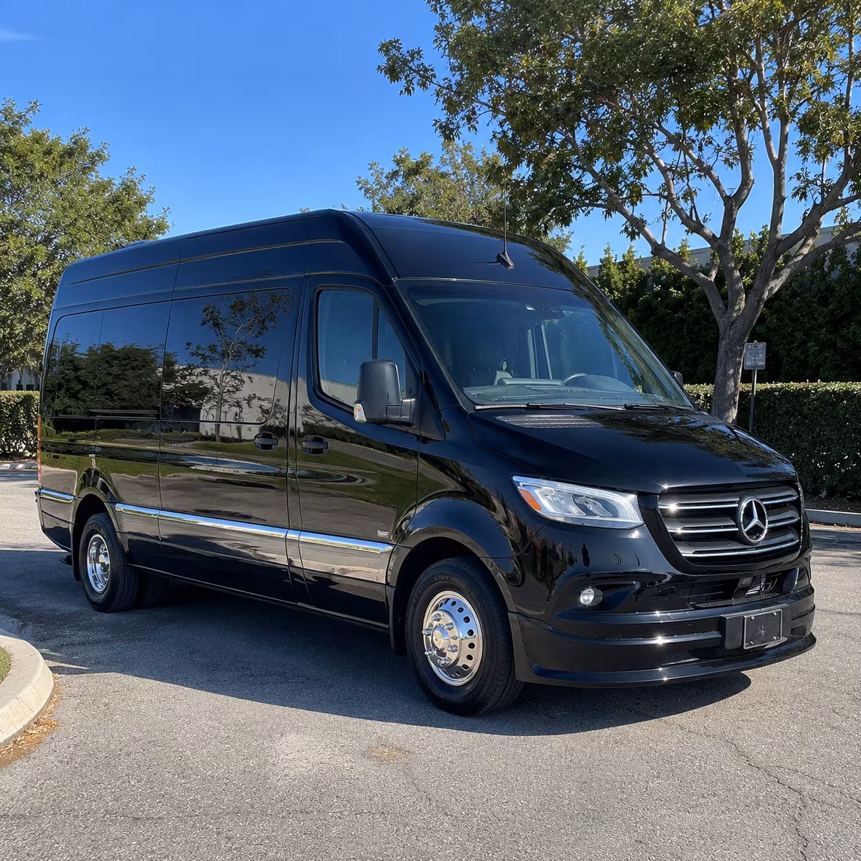 austin 10 passenger sprinter van